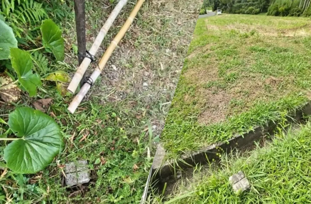 吉沢里山